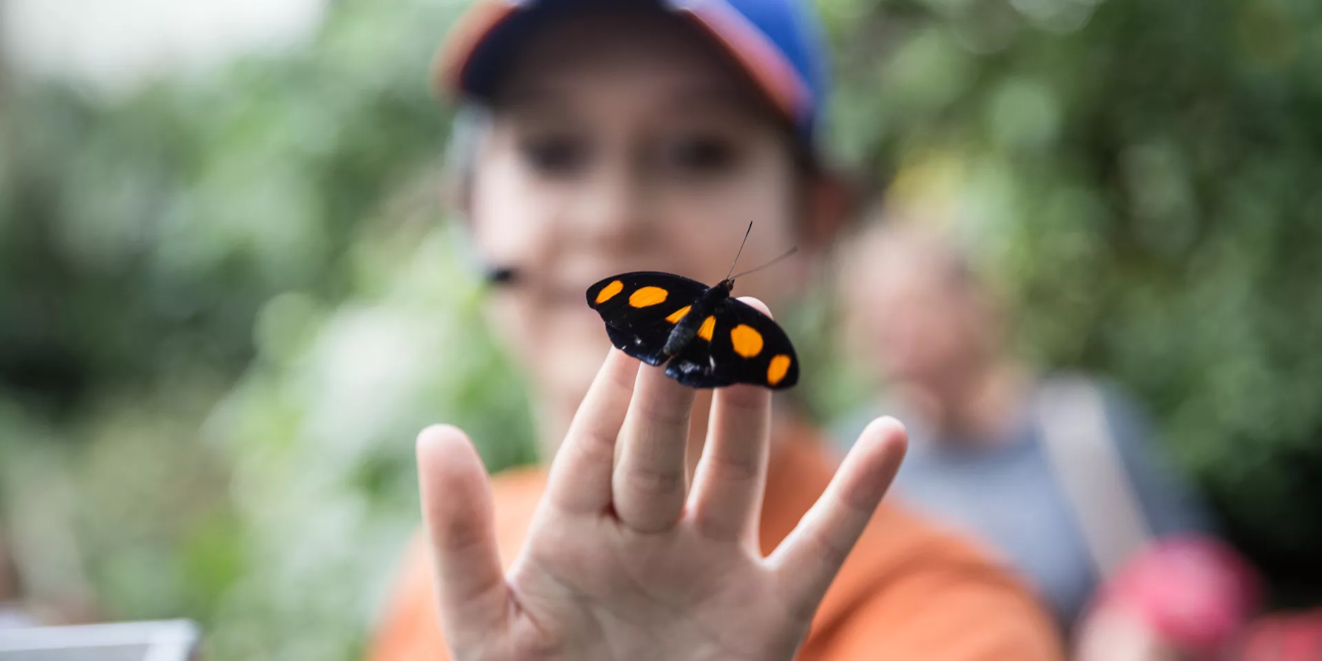 student holding butterfly