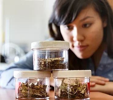 student inspecting contents of jars