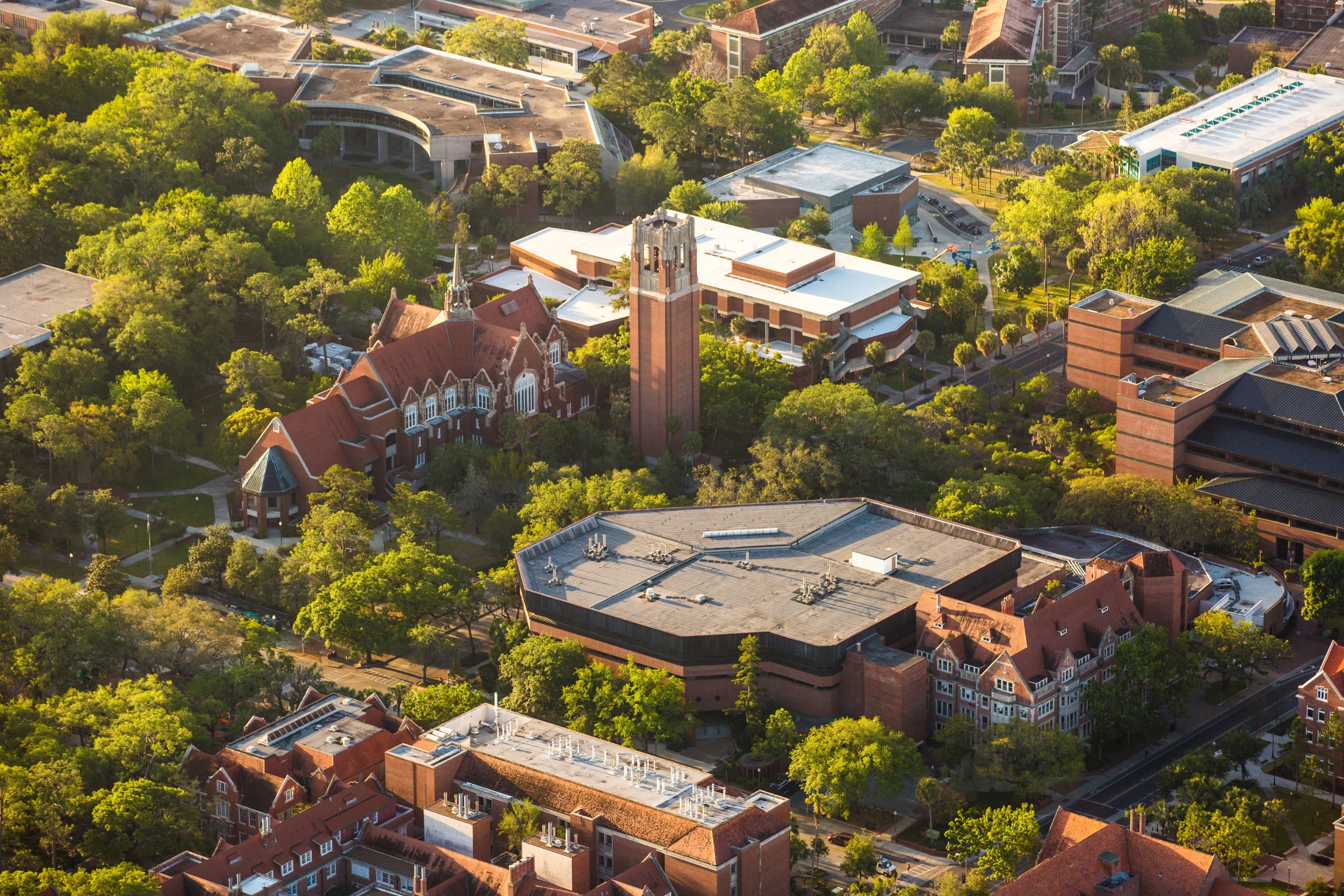 university of florida