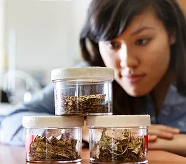 cards-alumni-experiement student inspecting contents of jars
