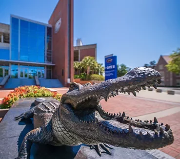 cards-about-gator-statue gator statue