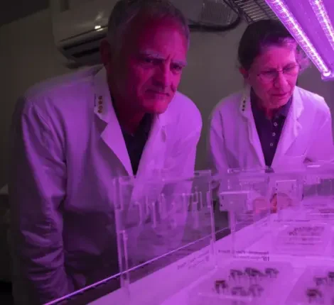 Two scientist looking at their research.