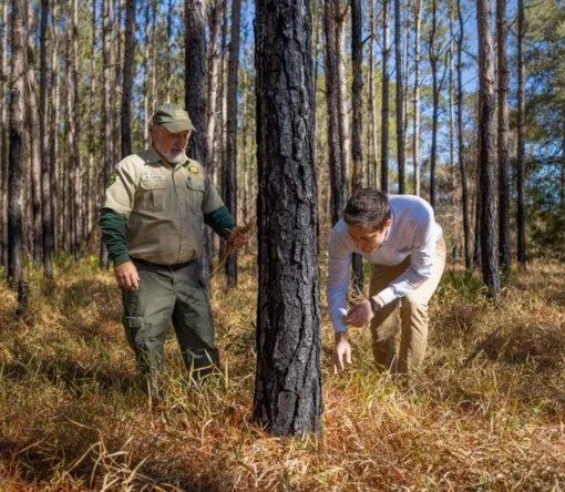 Finding fires at lightning speed Two scientists studying a tree outdoor