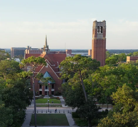 Landscape of UF campus