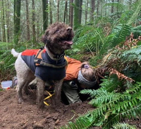 A dog stands proudly next to a researcher in the woods.