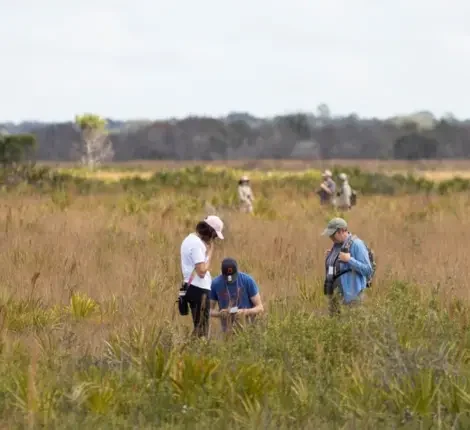 Researchers walking in prairie